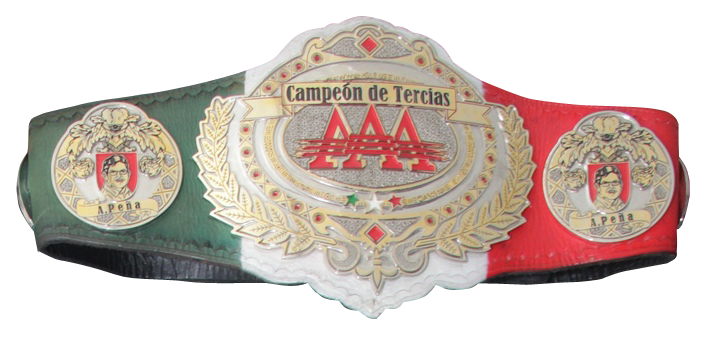 File:AAA-Trios-Title.png