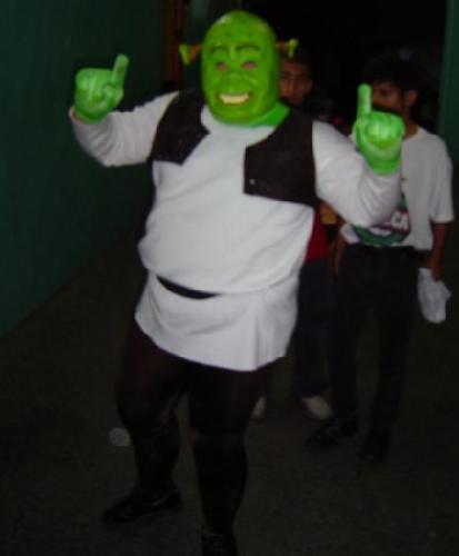 File:Shrek masked.jpg