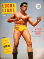 Lucha Libre #31