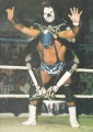 vs. Blue Panther