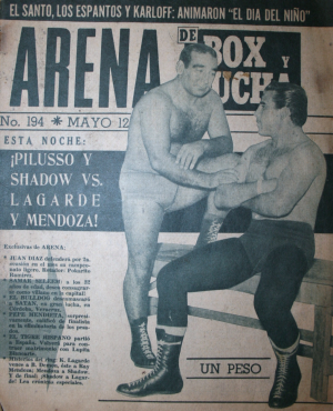 Arena194.png