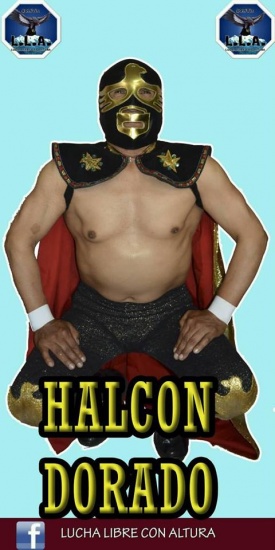 Halcón Dorado